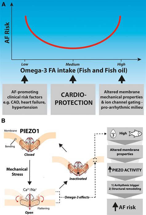 omega 3 google scholar